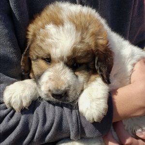 Meet your Posher, Chyler